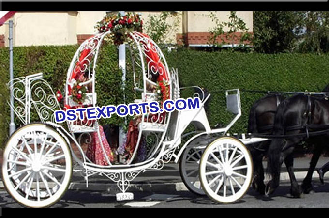 Wedding  Beautiful Bride Cinderella Carriage