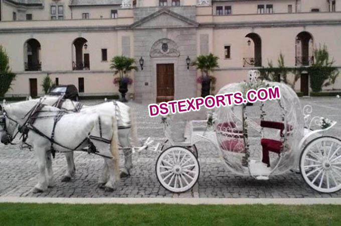 Wedding Cinderala Horse Carriage