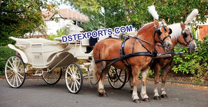 ANTIQUE HORSE DRAWN BUGGY