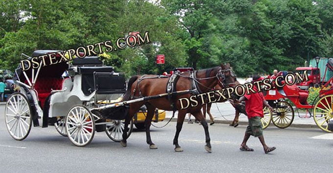 Center Park Touring Horse Carriages