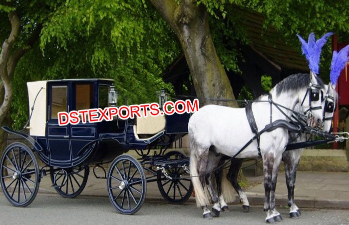 Royal Tourism Covered Horse Carriage