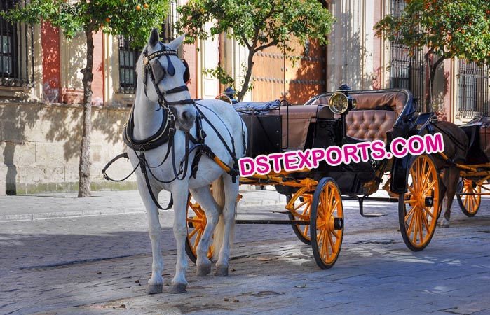 Two Seater Horse Drawn Carriages Manufacturer