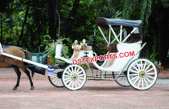 Two Seater Victoria Horse Buggy