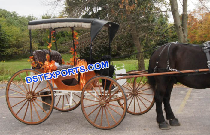 Limousine Horse Drawn Carriage