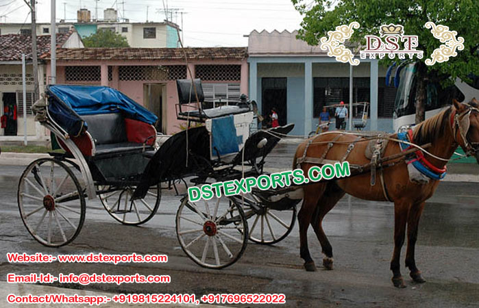 Latest Horse Carriages For Sale