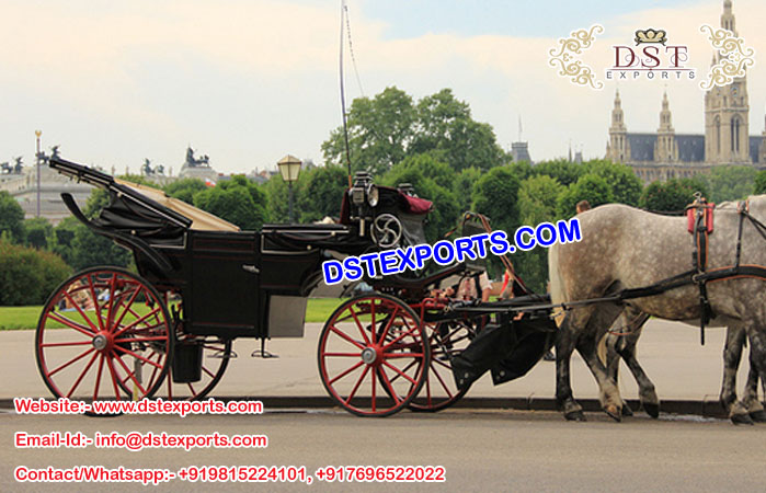 Buy Austria Horse Drawn Carriages