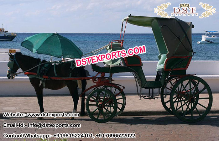 English Style Tourist Horse Carriage Baghi