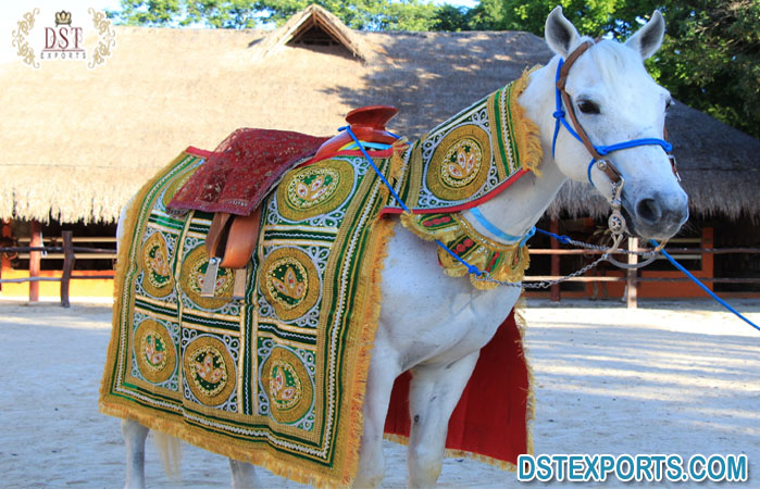 Indian Wedding Tradition Horse Costume