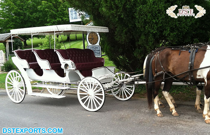 Luxury High-Quality Tourist Horse Carriage