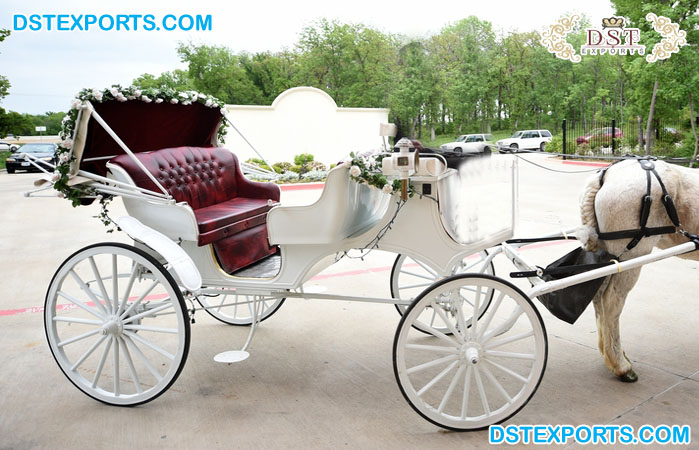 Luxury Four Seater Touring Horse Carriage
