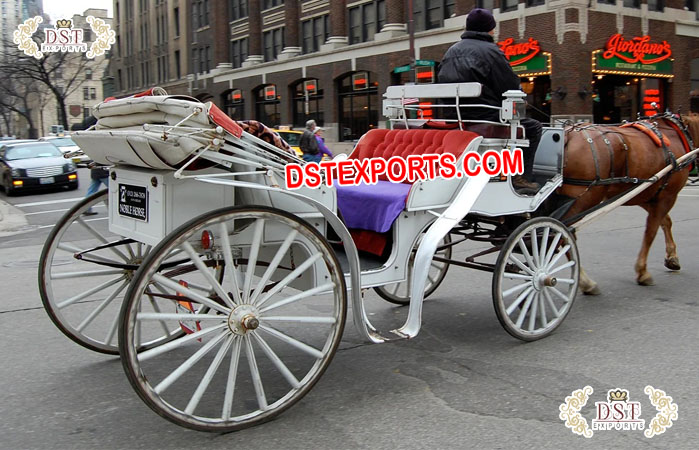 White Victorian Sightseeing Horse Carriage