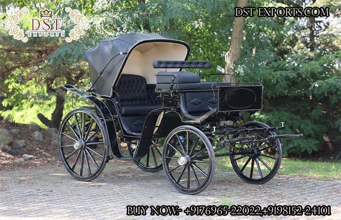 Black Barouche Sightseeing Horse Drawn Carriage