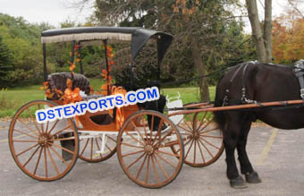 Limousine Horse Drawn Carriage