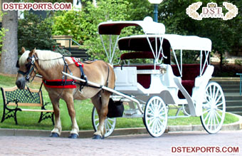 Four Seater Horse Drawn Buggy/Carriage