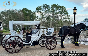 Amazing White Tourist Vis A Vis Horse Carriage