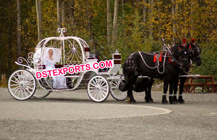 Bride Touring Cinderella Horse Carriage