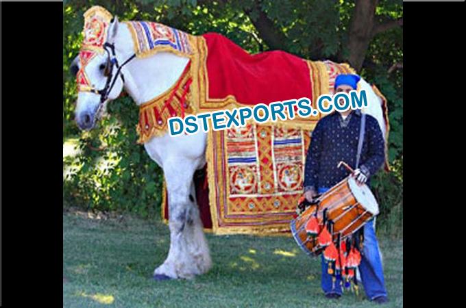 Indian Wedding Barat Howdah Decorations