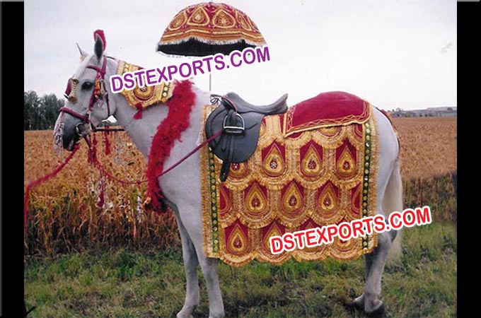 Indian Vivah Decorated Horse Costume