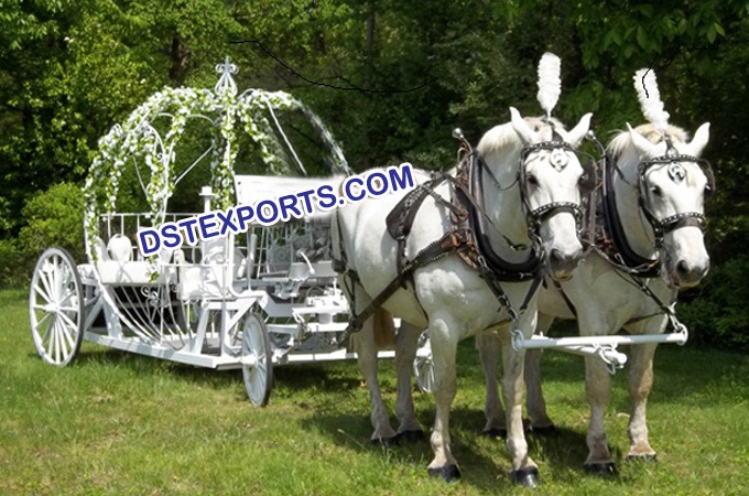 Australian Wedding Cinderella Horse Carriage