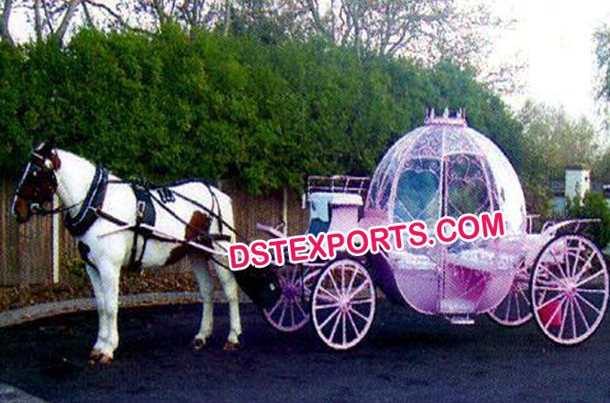 Australian Wedding Cinderala Horse Carriage