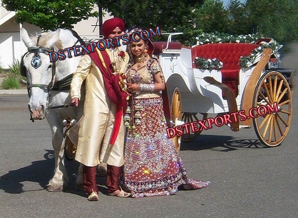 PUNJABI WEDDING HORSE BAGHI