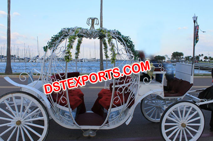 Exclusive White Cinderella Horse Carriage