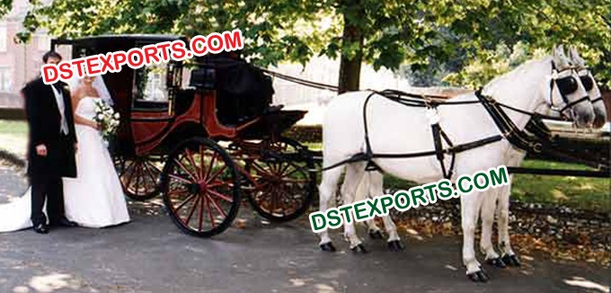 STYLISH WEDDING HORSE BUGGY