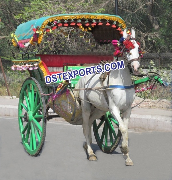 LAHORI HORSE TANGA