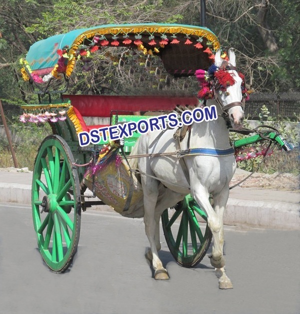 LAHORI HORSE TANGA