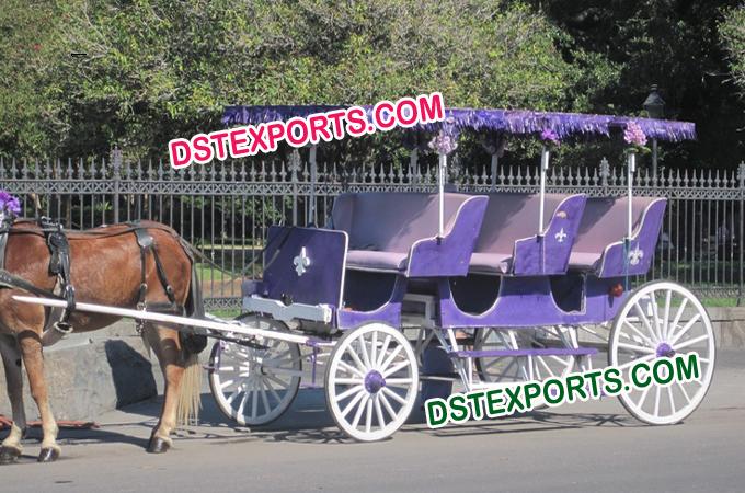 Purple Horse Drawn Limousine Carriage