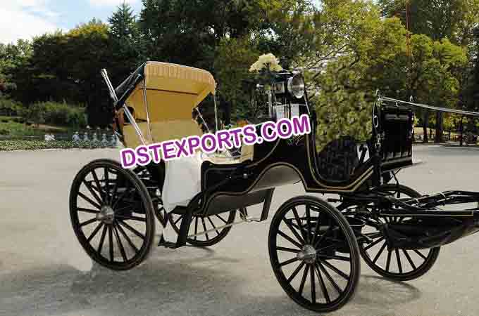 Central Park Black Victoria Horse Carriage