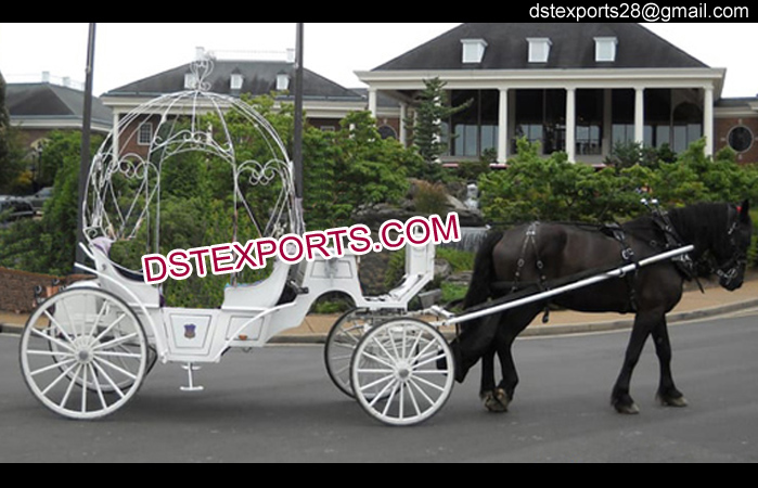 Small Cinderella Horse Carriage