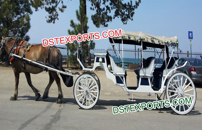 Fabulous Hotel Touring Wedding Family Carriage