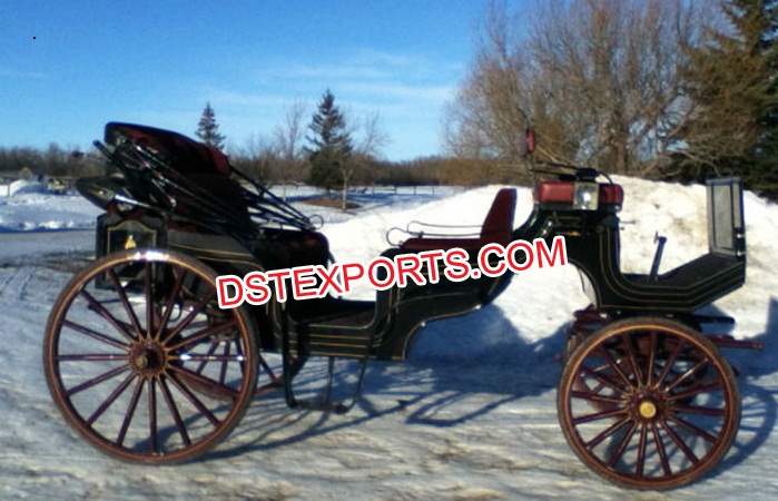 Elegant Vis-a Vis Black Horse Carriage