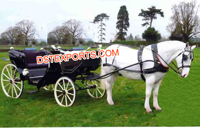 Vis Vis Black Victoria Horse Carriage