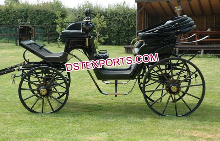 English Wedding Victoria Horse Carriage