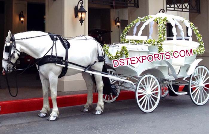 Bride Entry On Small Cinderella Buggy