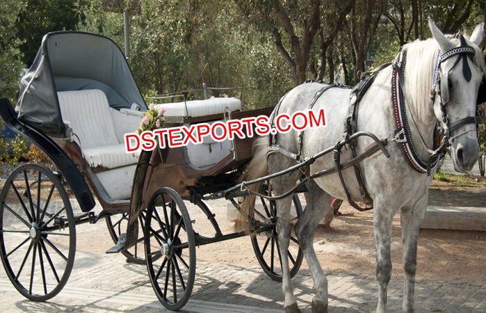 Royal Luxury Wedding Horse Buggy