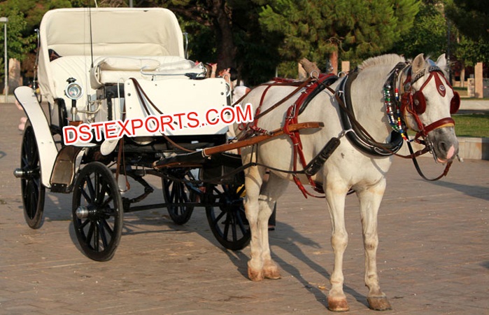 European Wedding Victoria Buggy