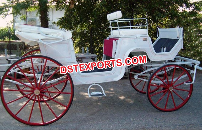 Amazing Victoria Horse Buggy