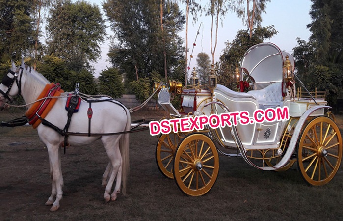 American Royal Horse Drawn Buggy