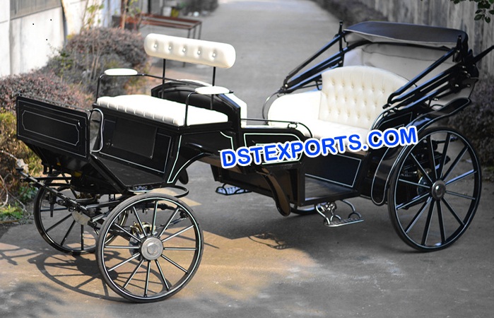 Royal Vis a Vis Horse Carriage