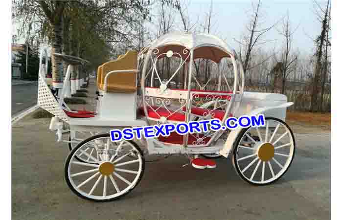 Pony Small Wedding Cinderella Carriage