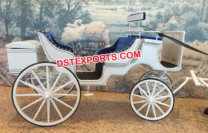 Designer Victoria Horse Carriage Buggy