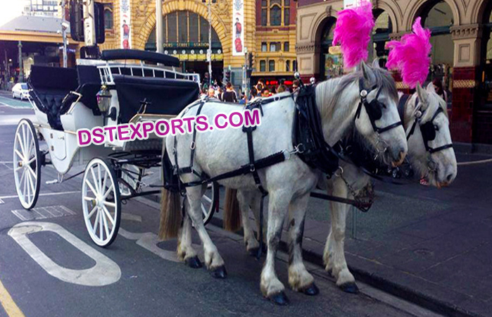 White Victoria Horse Buggy For Touring