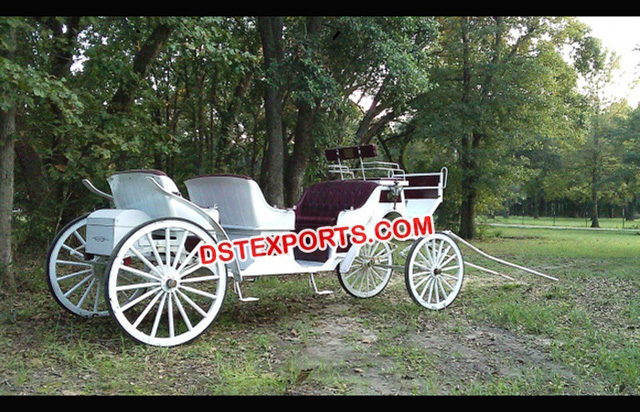 White Limousine Horse Drawn Buggy