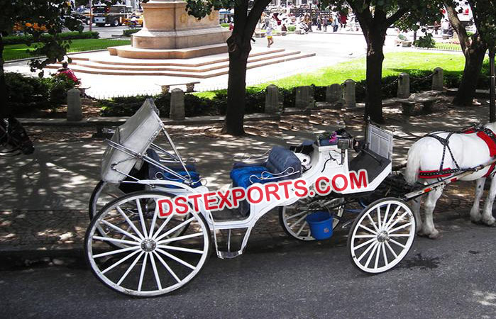 Decorated Indian Wedding Horse Buggy Carriage