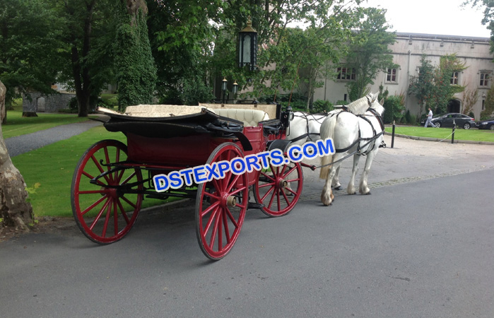 Royal Look Horse Drawn Buggy