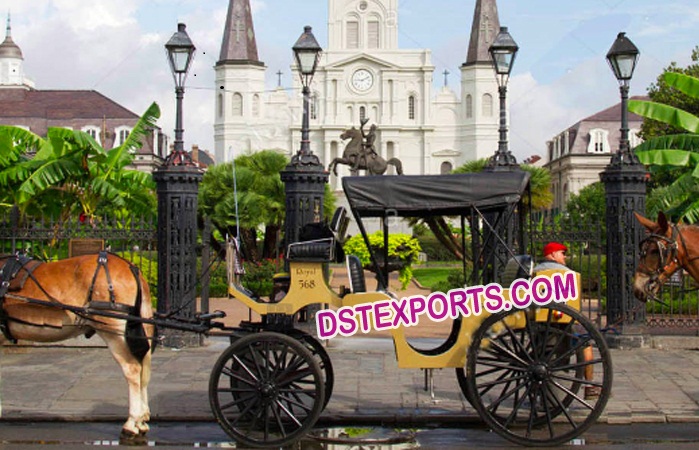 Royal Horse Drawn Wedding Carriage