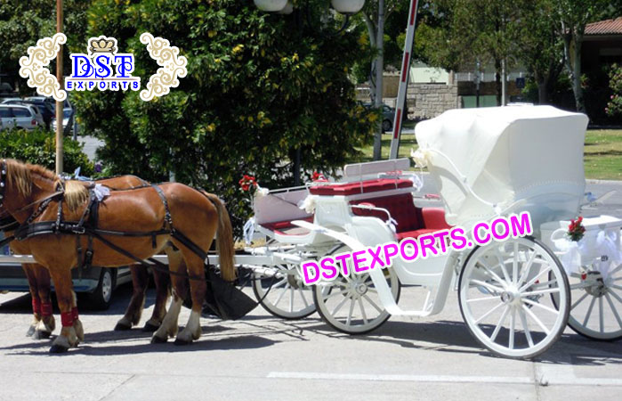 White Wedding Victoria Horse Buggy For Sale